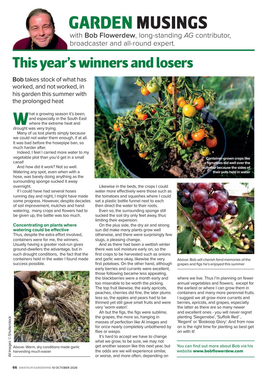 Amateur Gardening Preview Pages