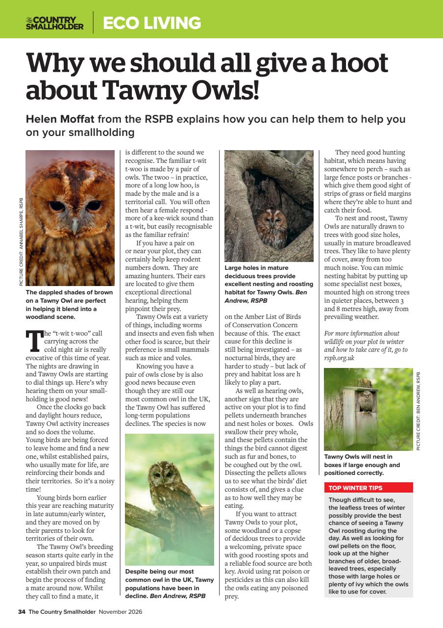 The Country Smallholder Preview Pages