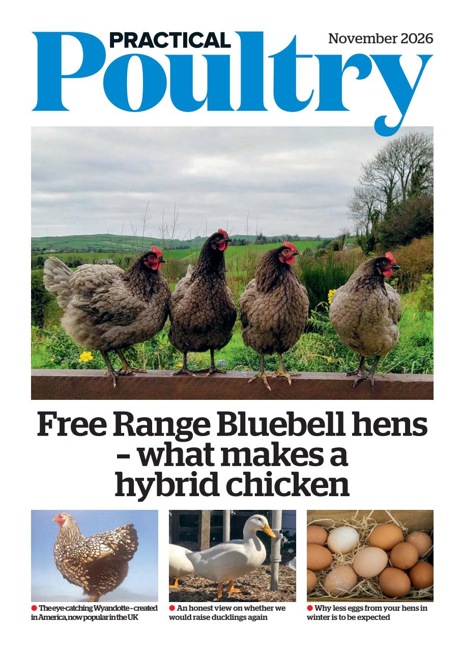 The Country Smallholder Preview Pages