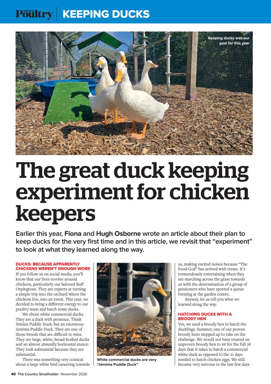 The Country Smallholder Preview Pages