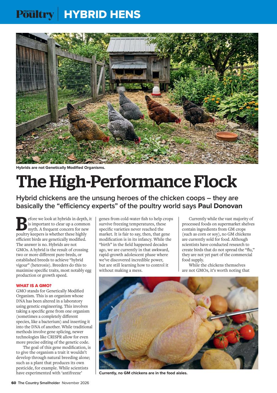 The Country Smallholder Preview Pages