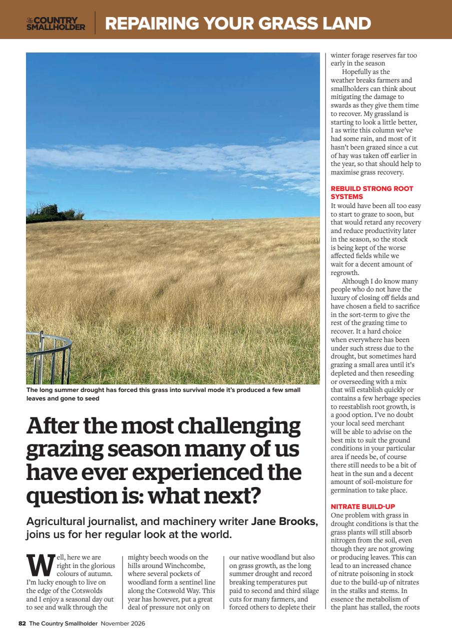 The Country Smallholder Preview Pages