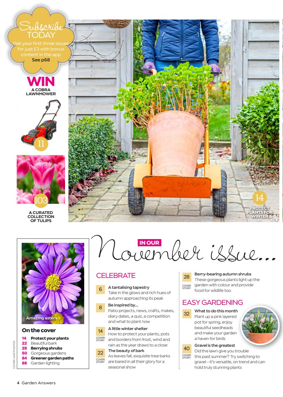Garden Answers Preview Pages