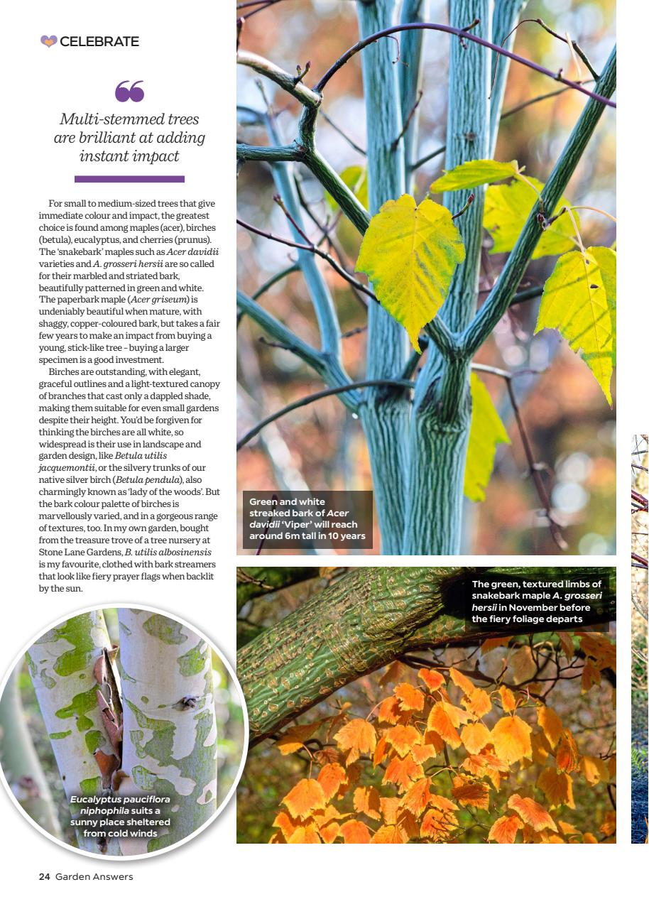 Garden Answers Preview Pages