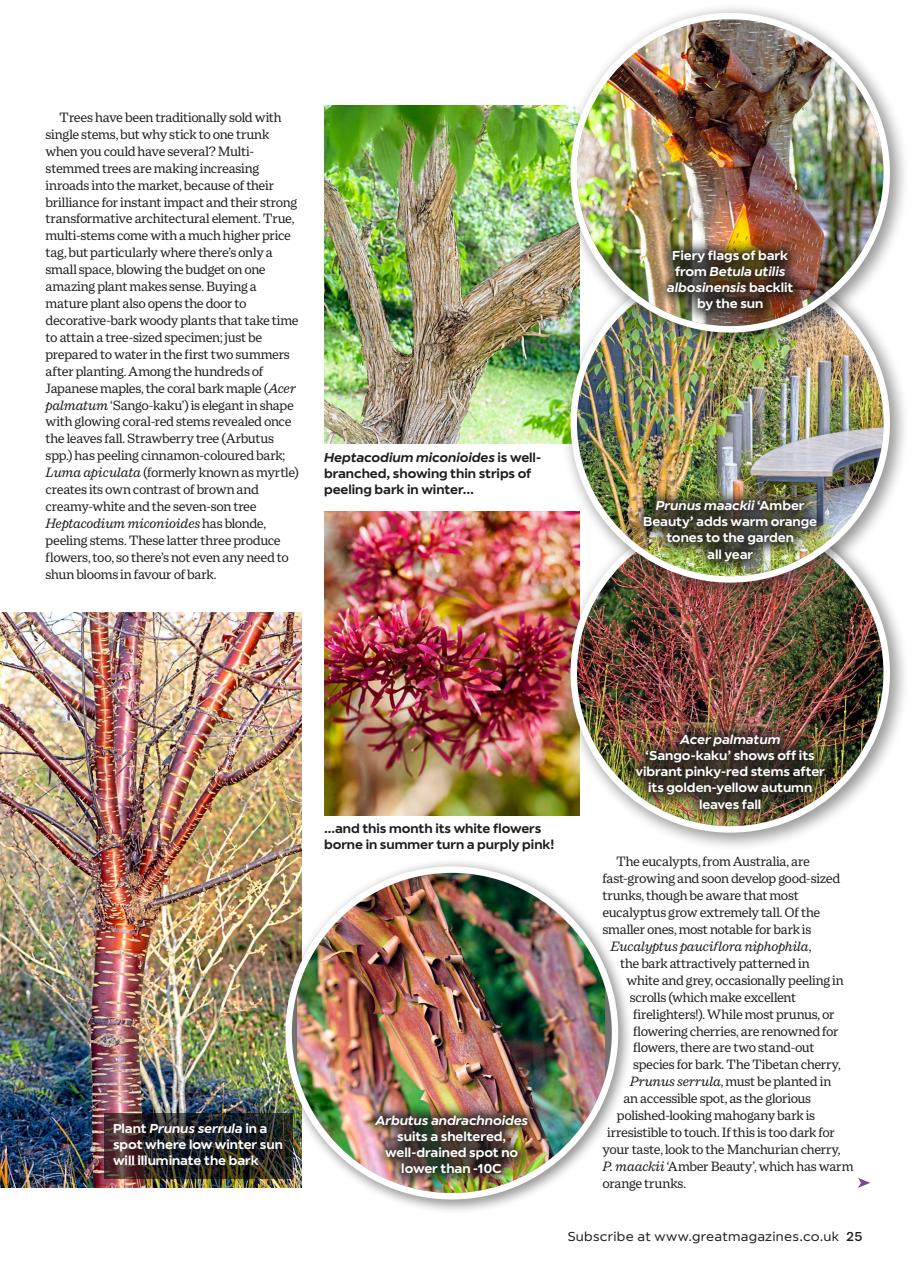 Garden Answers Preview Pages