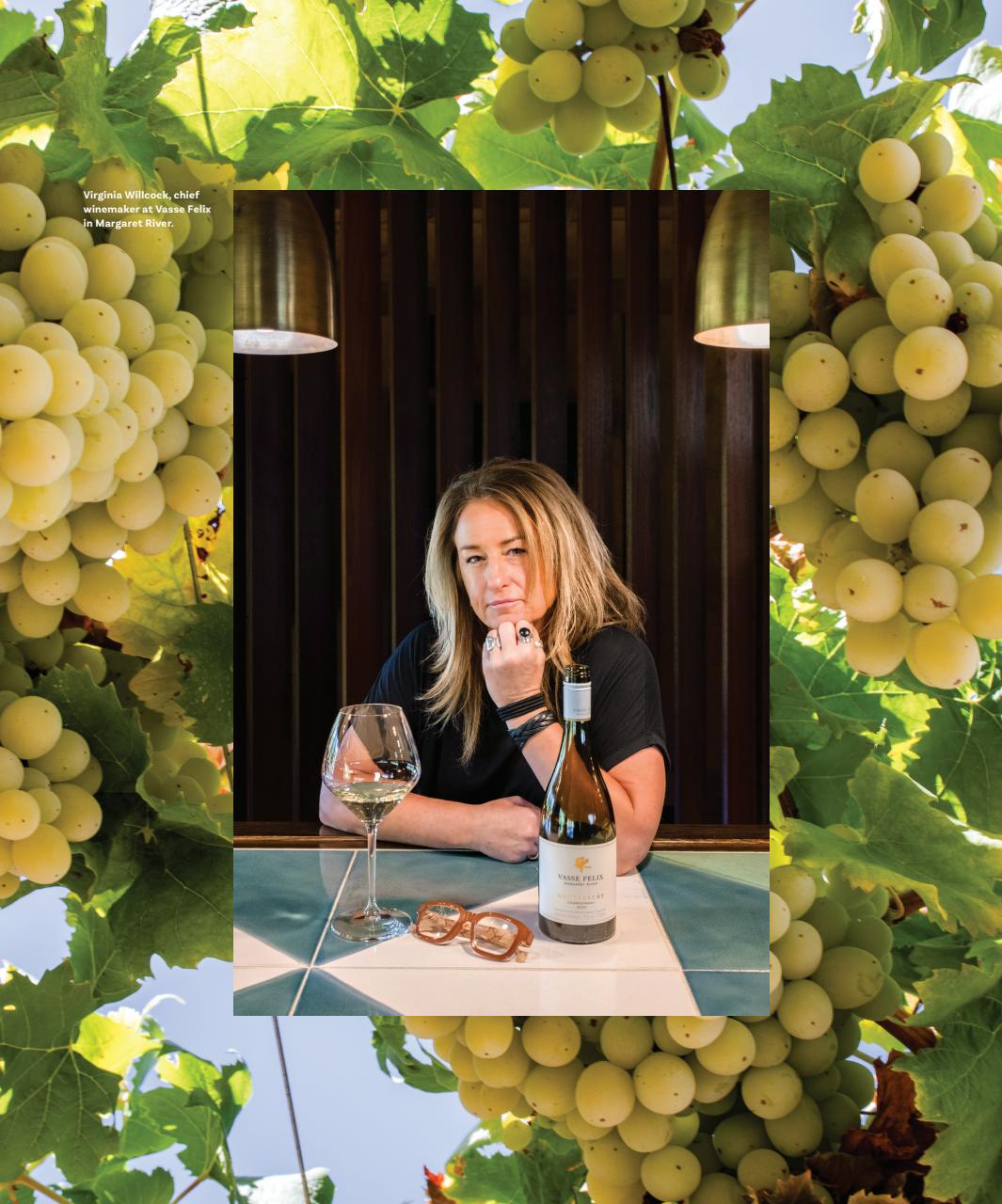Wine Enthusiast Preview Pages