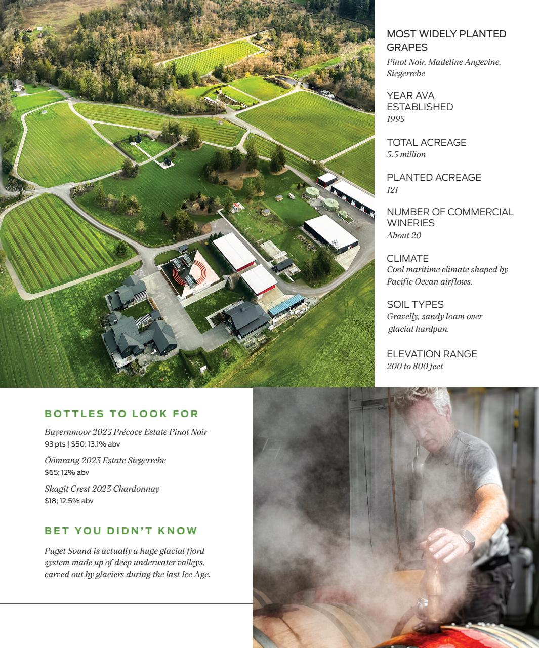Wine Enthusiast Preview Pages