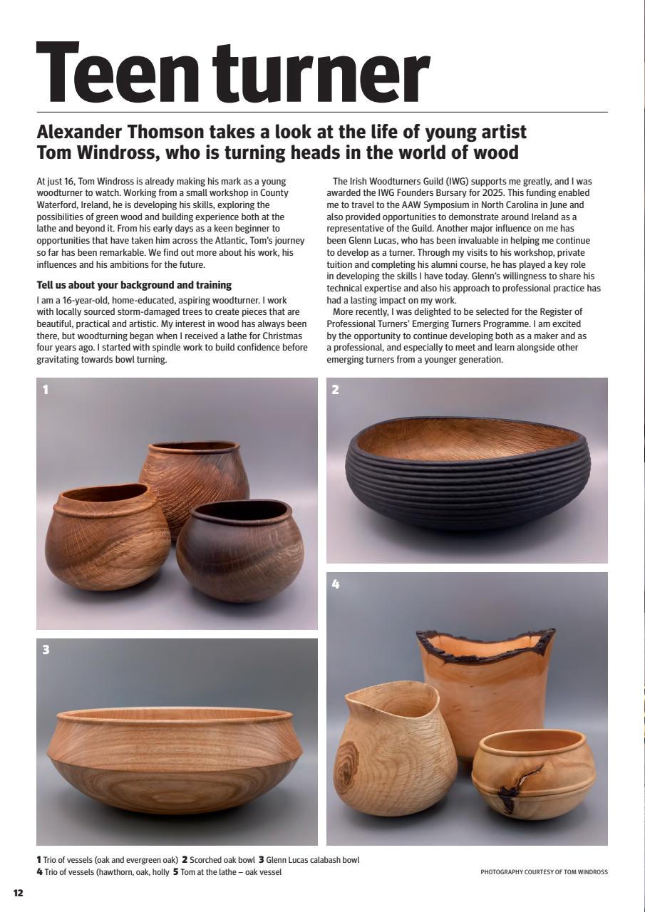Woodturning Preview Pages