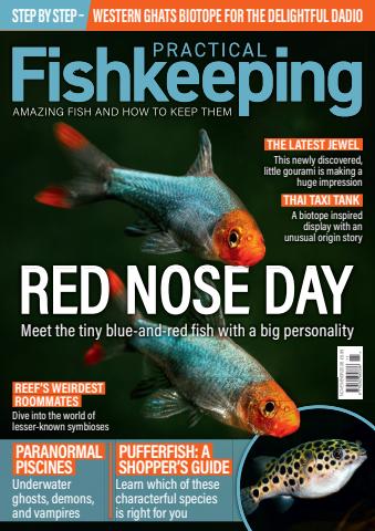 Practical Fishkeeping issue November 2026
