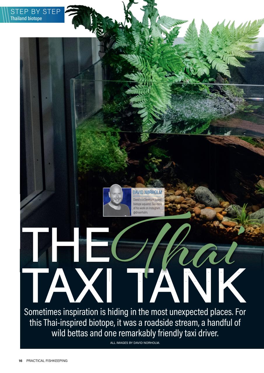 Practical Fishkeeping Preview Pages