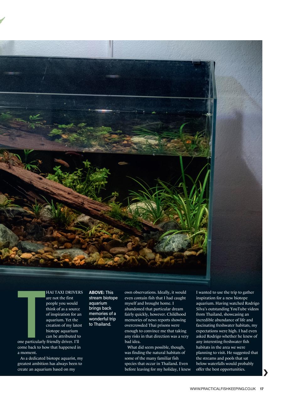 Practical Fishkeeping Preview Pages