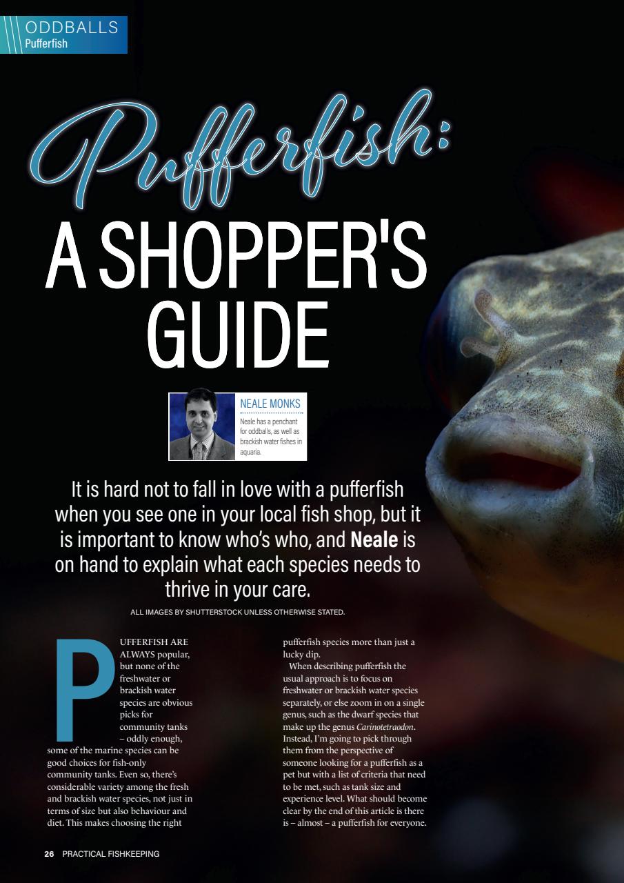 Practical Fishkeeping Preview Pages