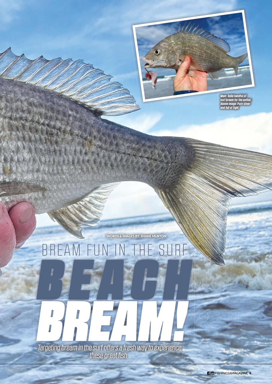 Fishing SA Preview Pages