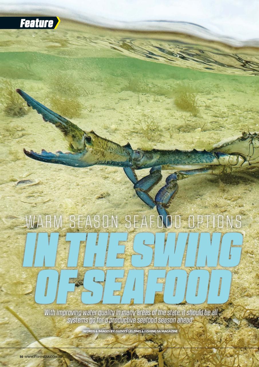 Fishing SA Preview Pages