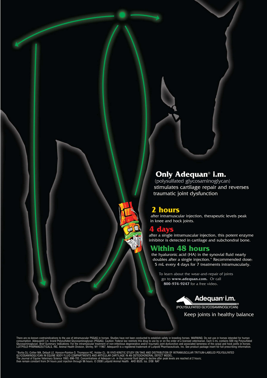 North American Trainer Magazine - horse racing Preview Pages