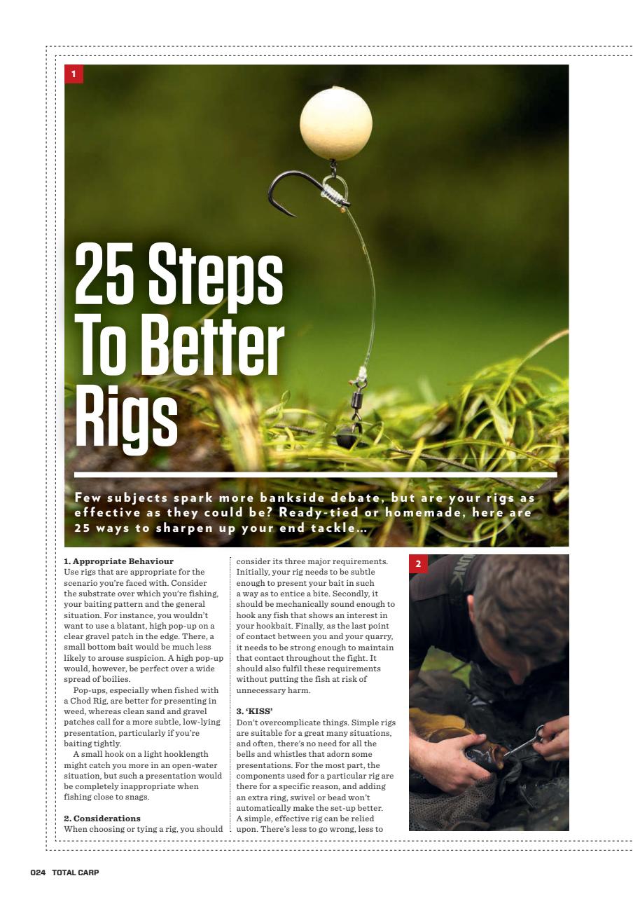 Total Carp Preview Pages