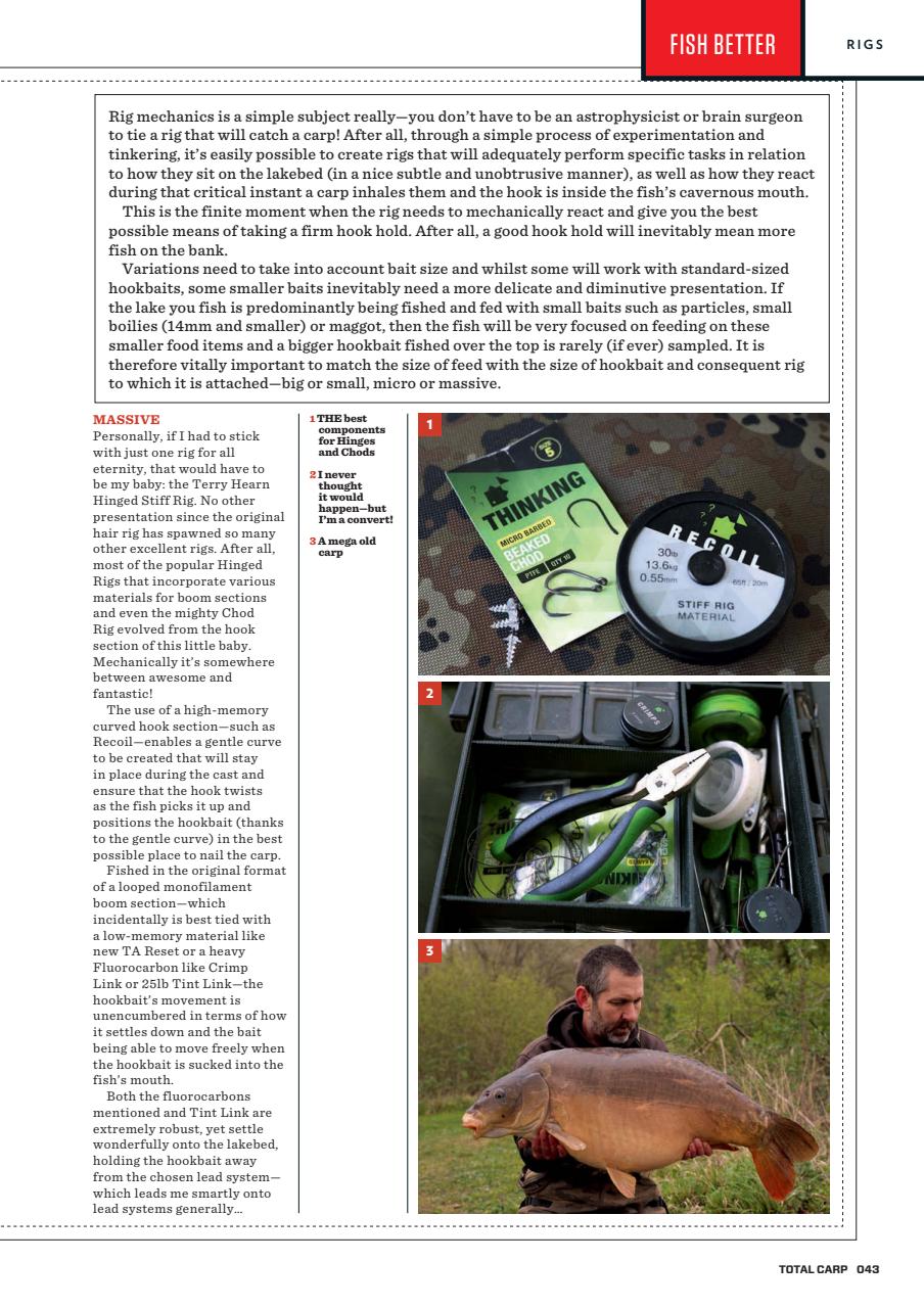 Total Carp Preview Pages