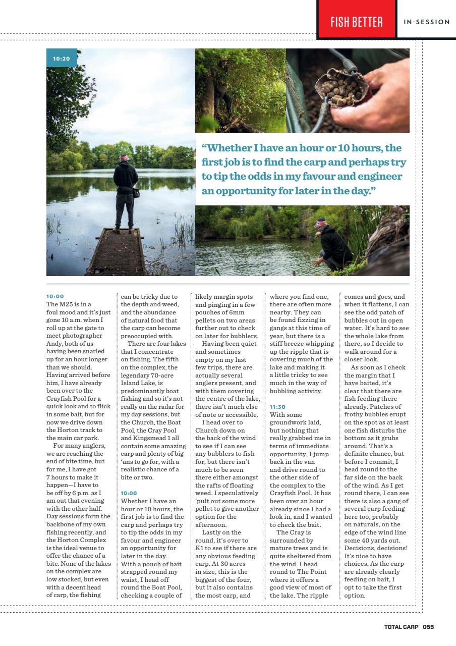 Total Carp Preview Pages