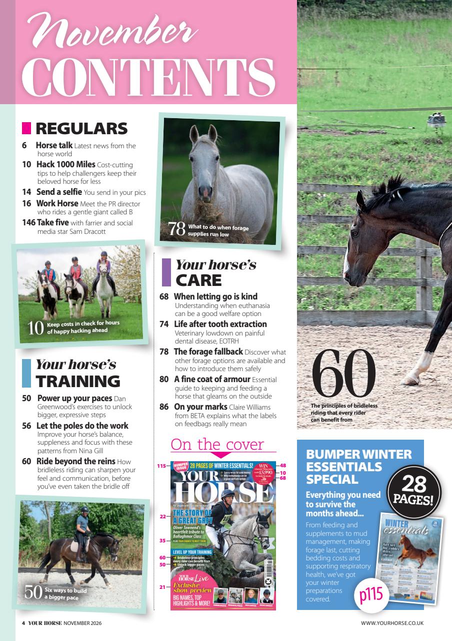 Your Horse Preview Pages