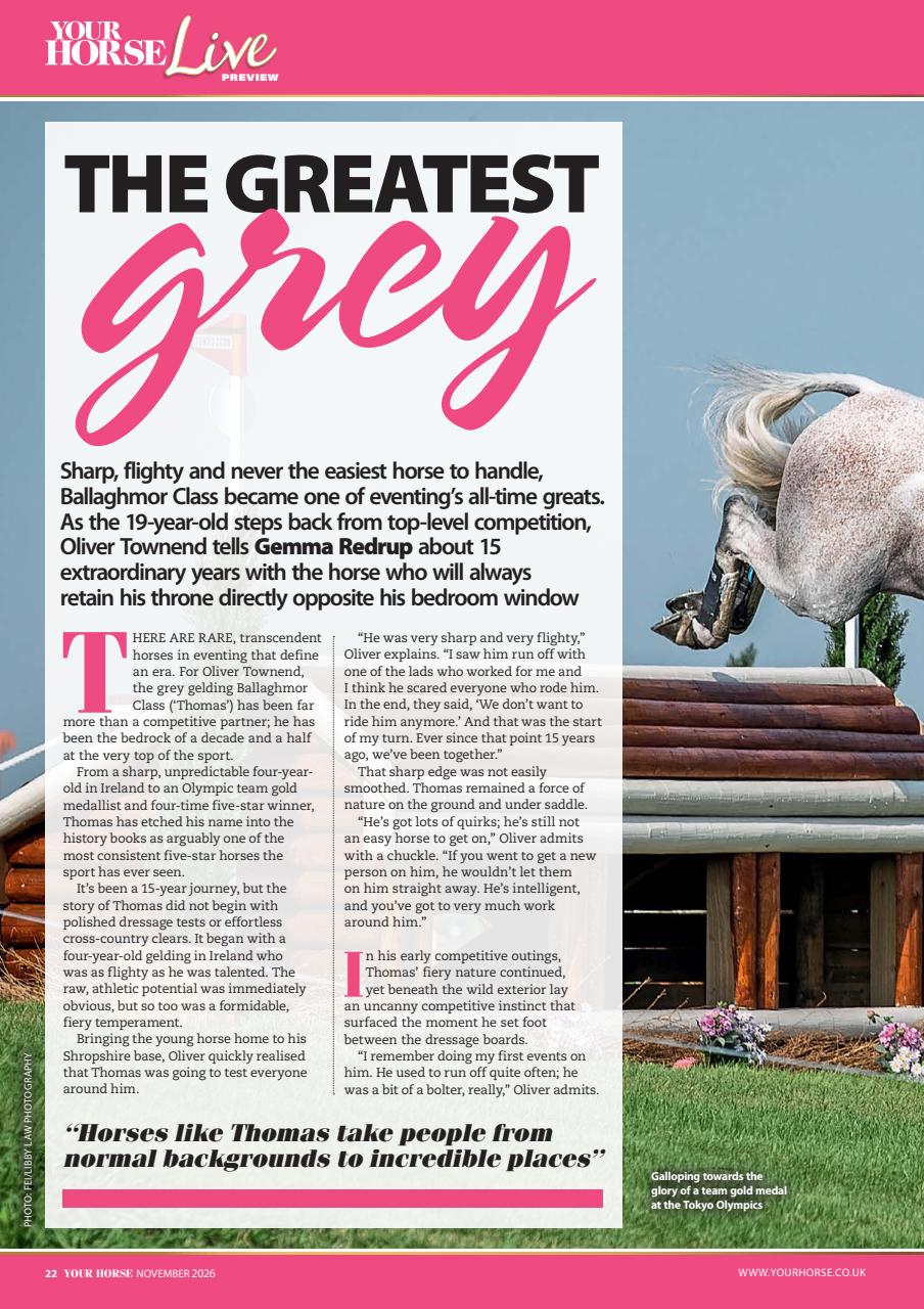 Your Horse Preview Pages