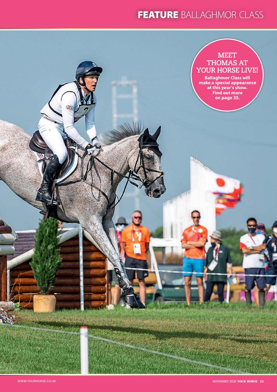Your Horse Preview Pages