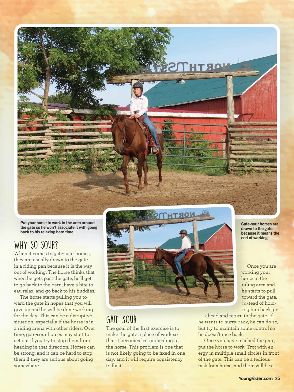 Young Rider Magazine Preview Pages