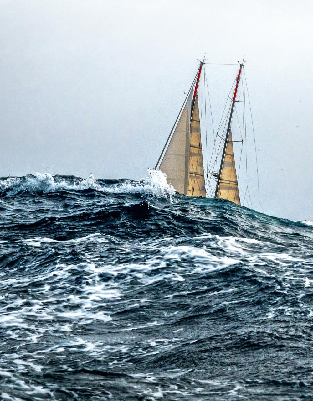 Sail Preview Pages