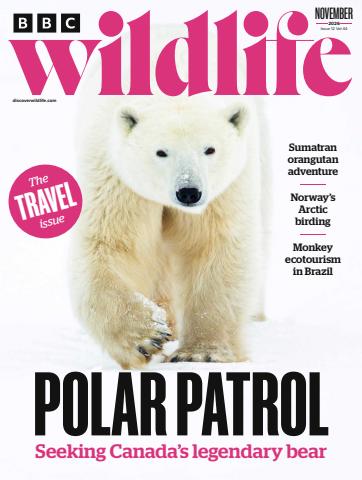 BBC Wildlife Magazine issue November 2026