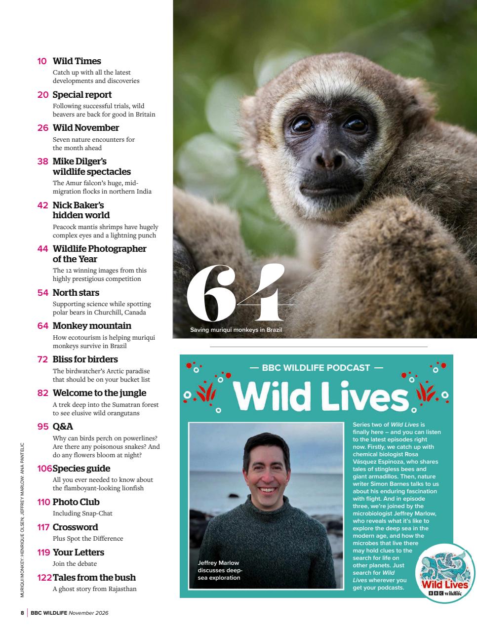 BBC Wildlife Magazine Preview Pages