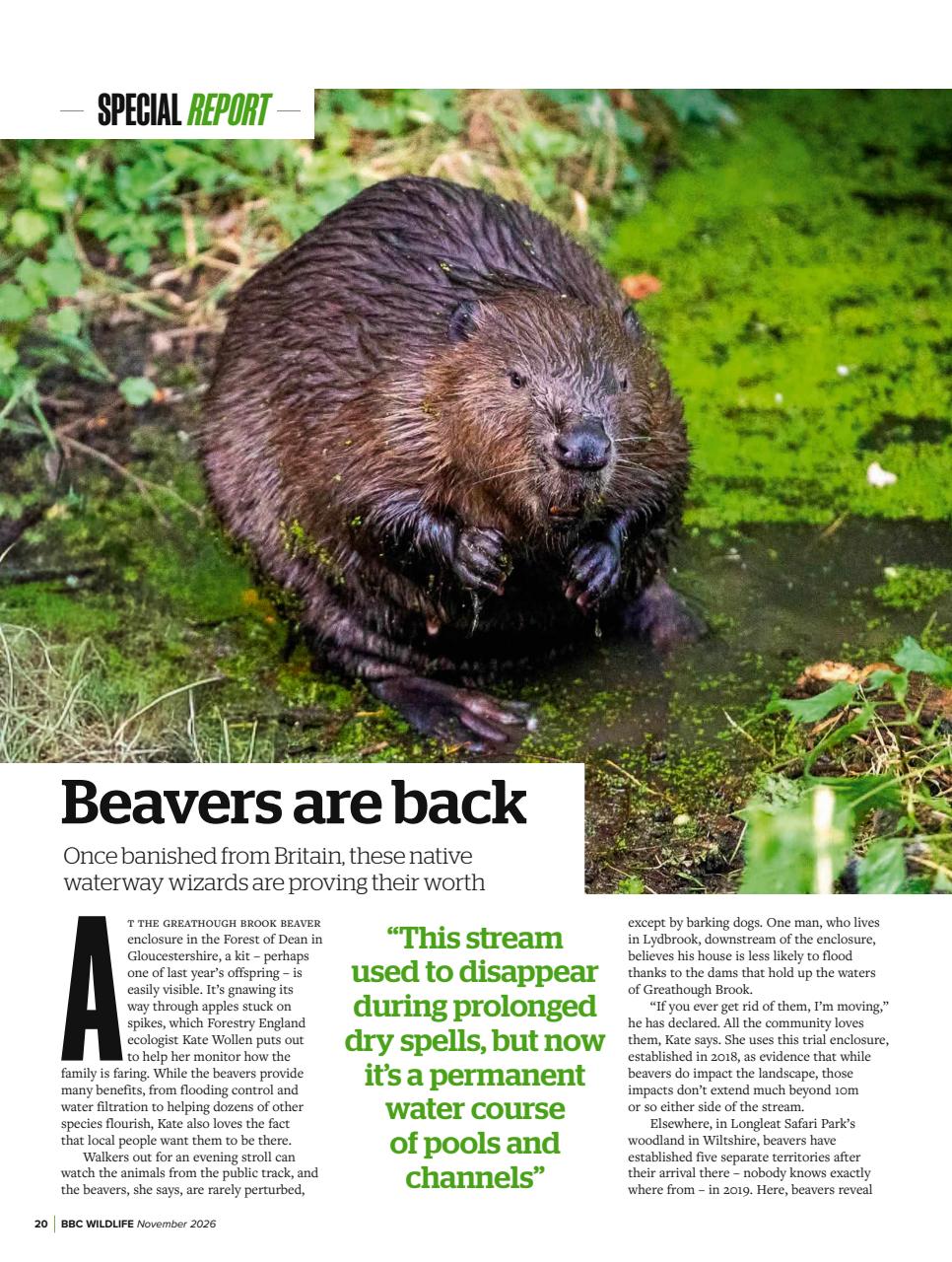 BBC Wildlife Magazine Preview Pages