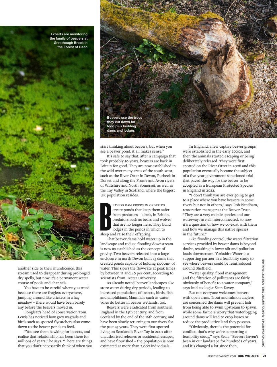 BBC Wildlife Magazine Preview Pages