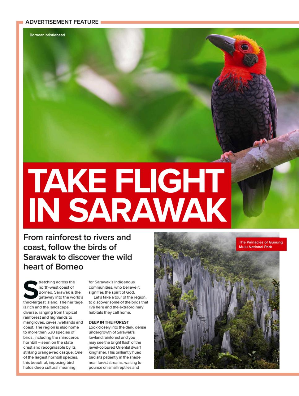 BBC Wildlife Magazine Preview Pages