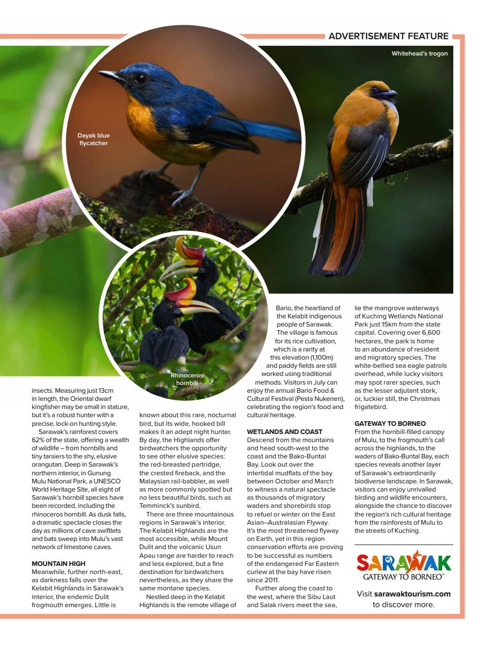 BBC Wildlife Magazine Preview Pages