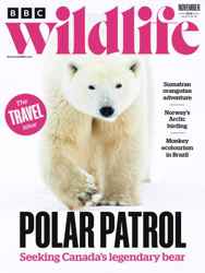 BBC Wildlife Magazine Complete Your Collection Cover 1