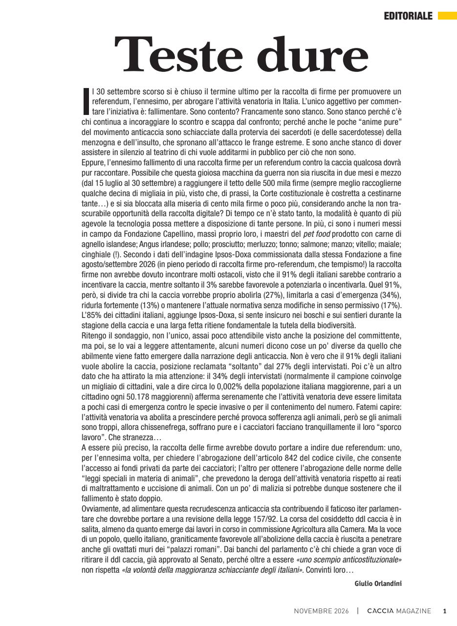 Caccia Magazine Preview Pages