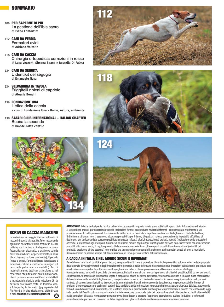 Caccia Magazine Preview Pages