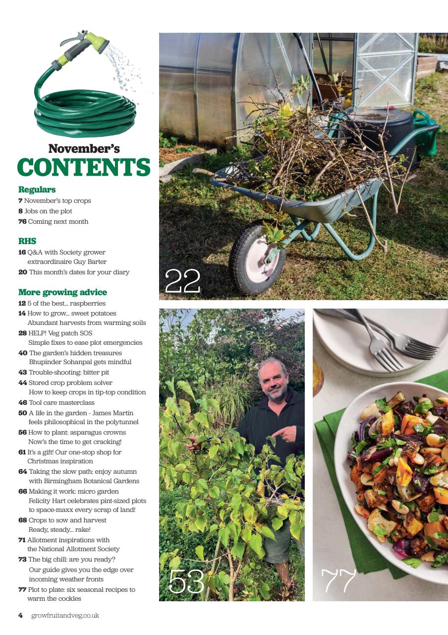 Grow Your Own Preview Pages