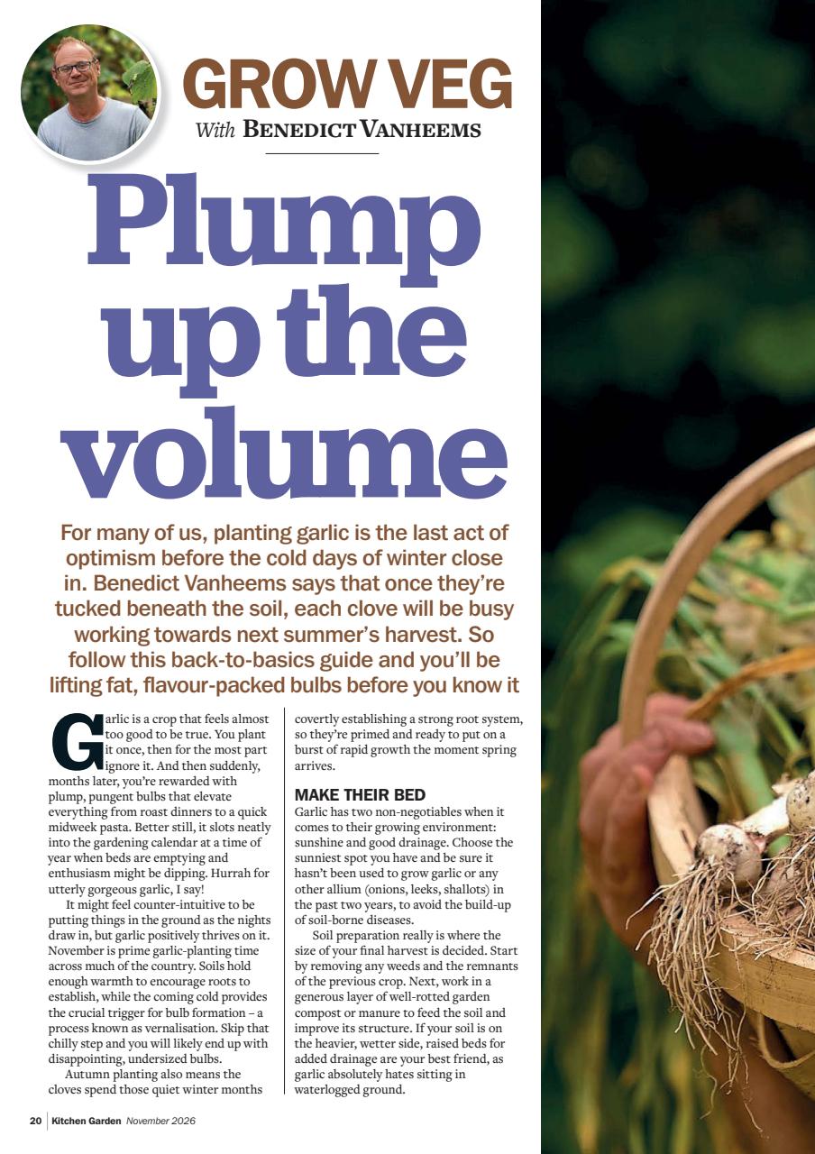 Kitchen Garden Magazine Preview Pages
