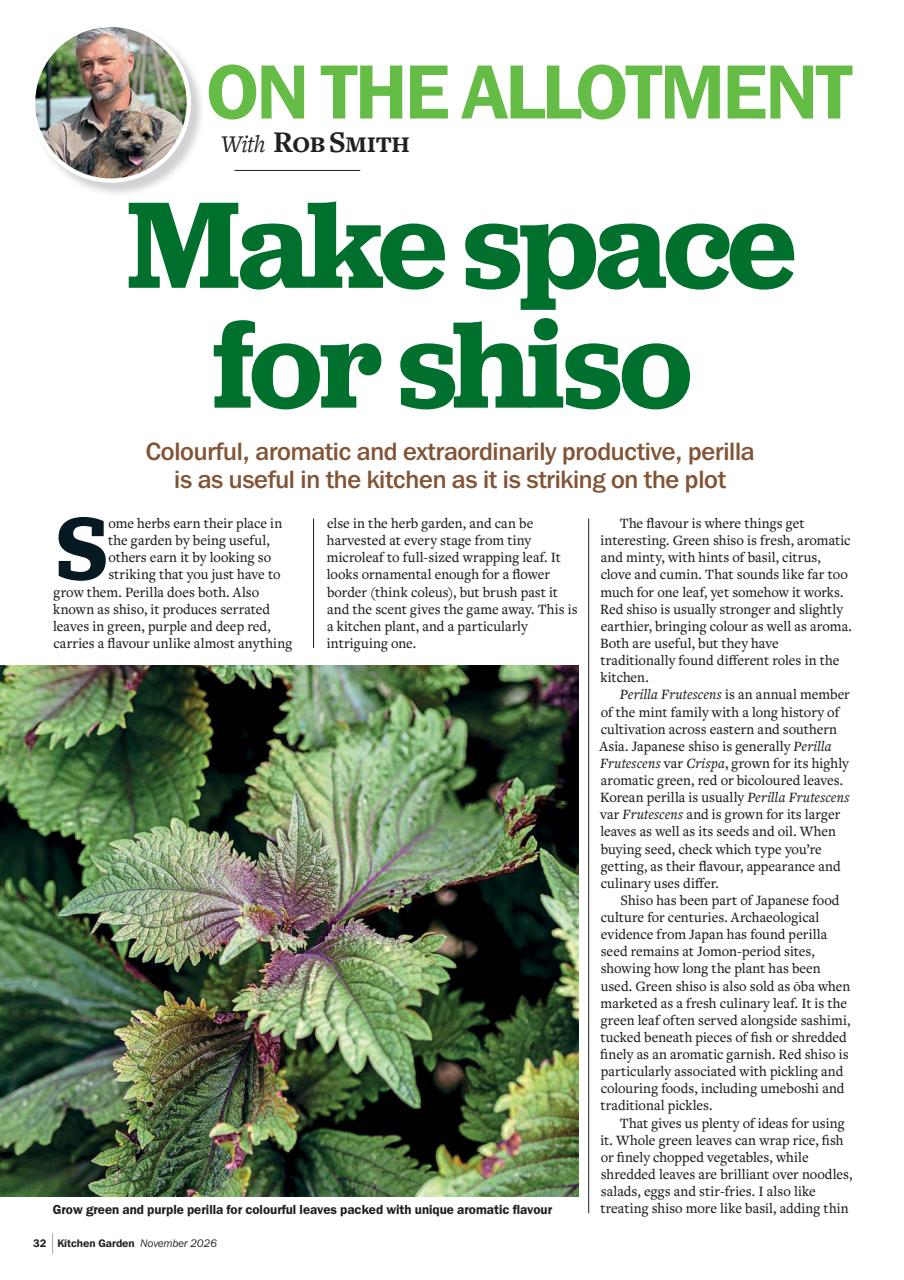 Kitchen Garden Magazine Preview Pages