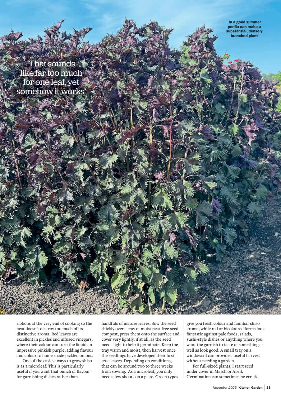 Kitchen Garden Magazine Preview Pages