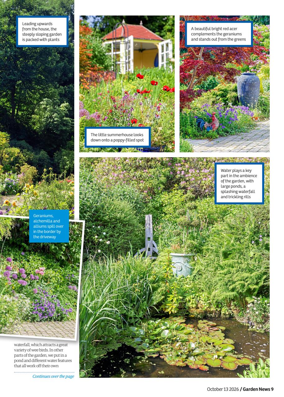 Garden News Preview Pages