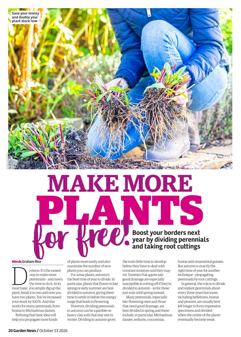 Garden News Preview Pages