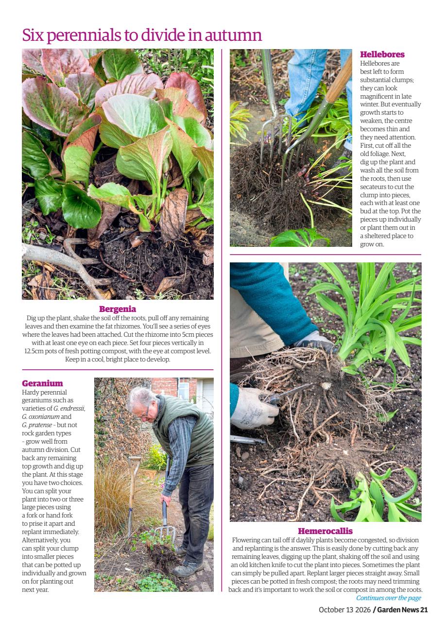 Garden News Preview Pages
