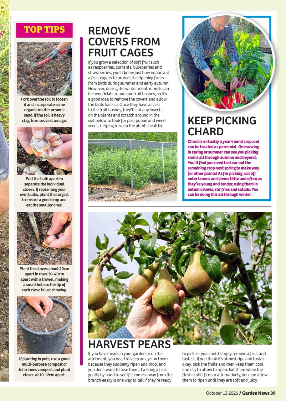 Garden News Preview Pages