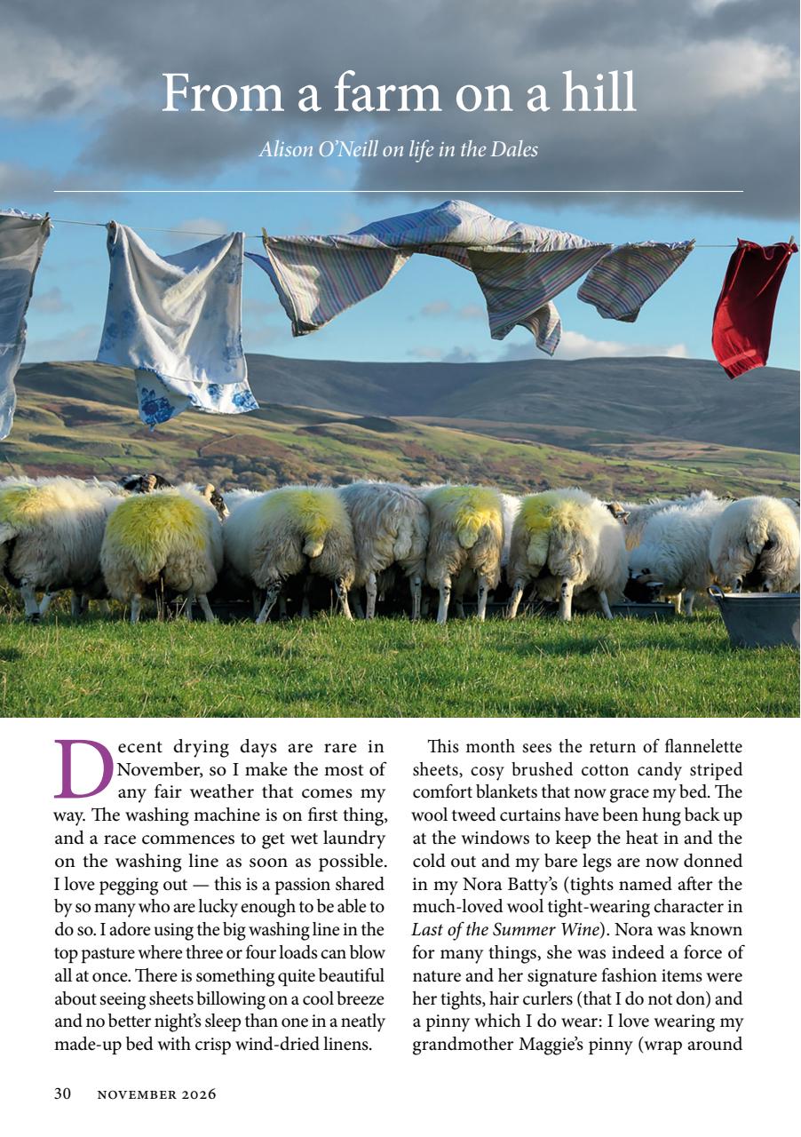 The Yorkshire Dalesman Preview Pages