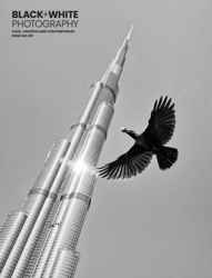 Black+White Photography Discounts