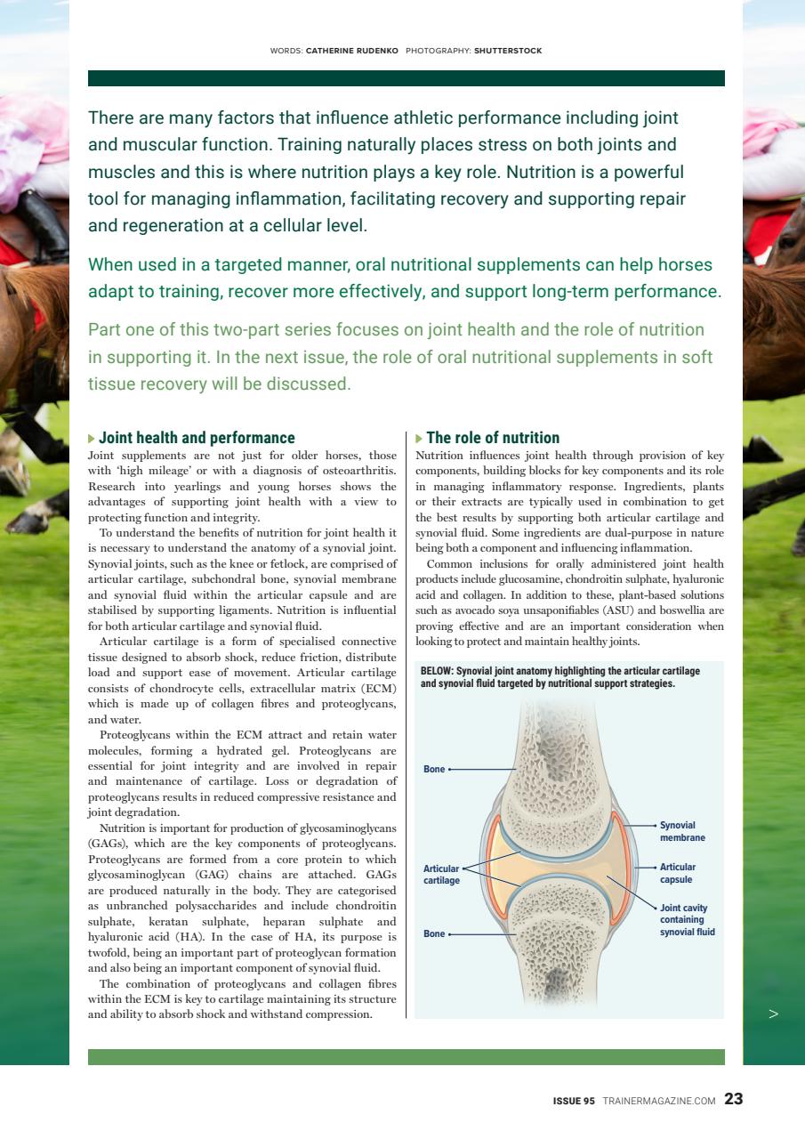 European Trainer Magazine - horse racing Preview Pages