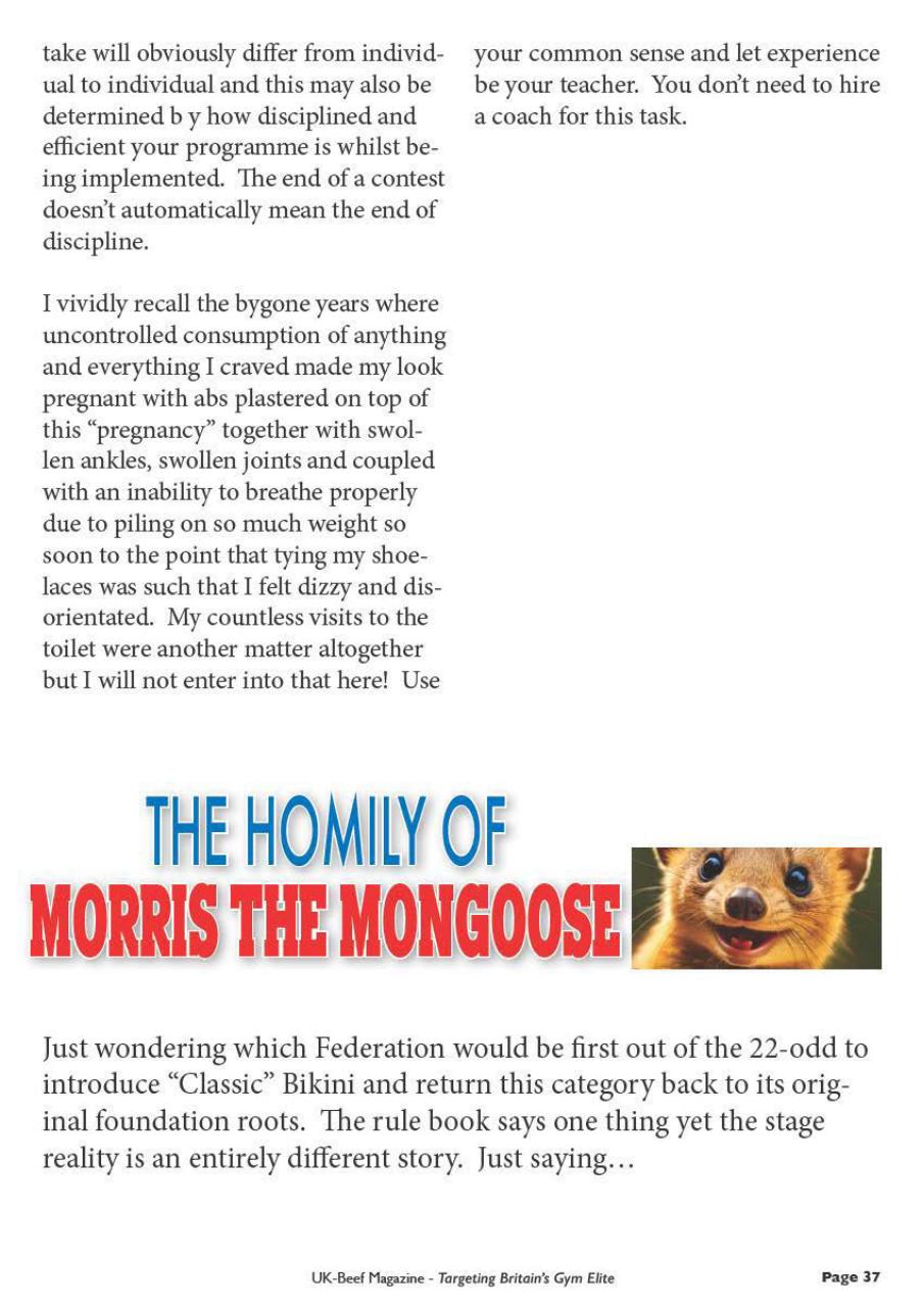 UK Beef Magazine Preview Pages