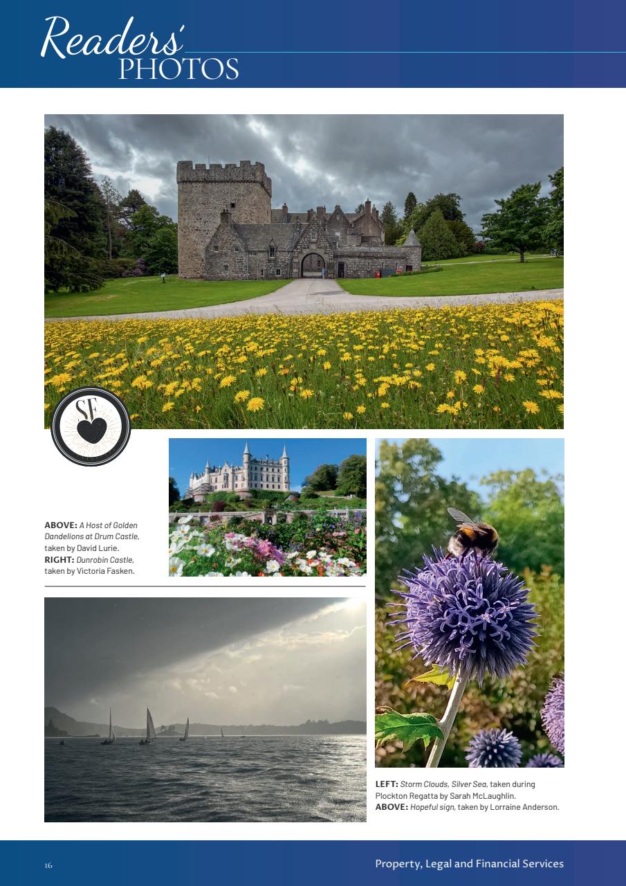 Scottish Field Preview Pages