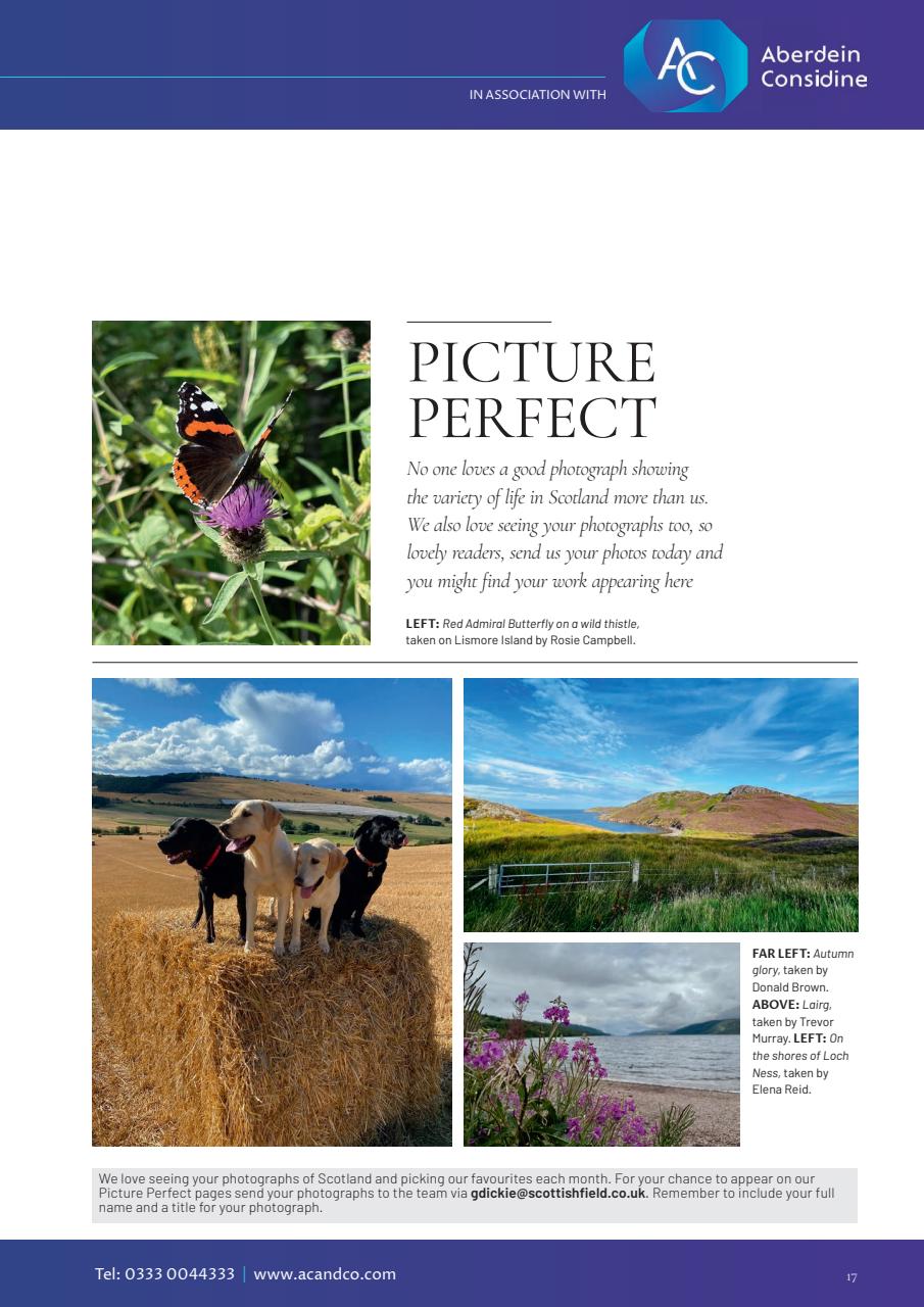 Scottish Field Preview Pages